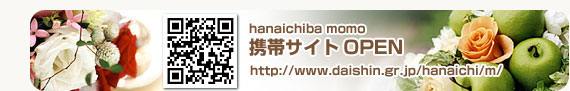 携帯サイトOPEN