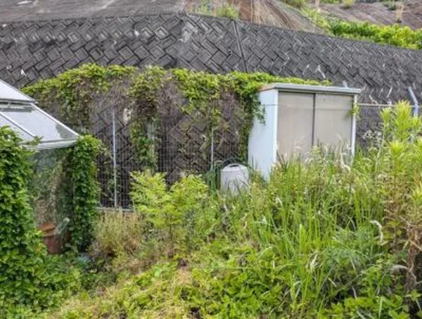 向洋新町洋光台団地　土地の画像3