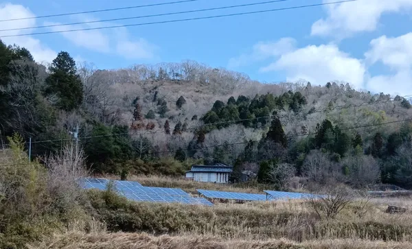 世羅町東神崎【売土地】(上物あり)の画像5