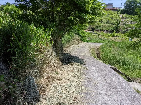 広島県福山市本郷町　売土地 1545㎡の画像1
