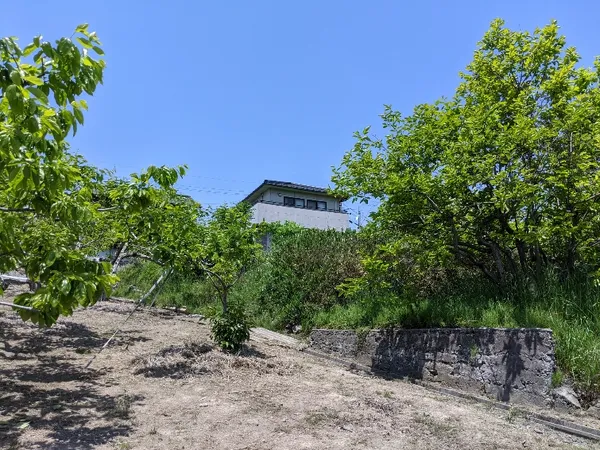 広島県福山市本郷町　売土地 1545㎡の画像3