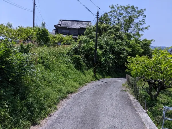 広島県福山市本郷町　売土地 1554㎡の画像2