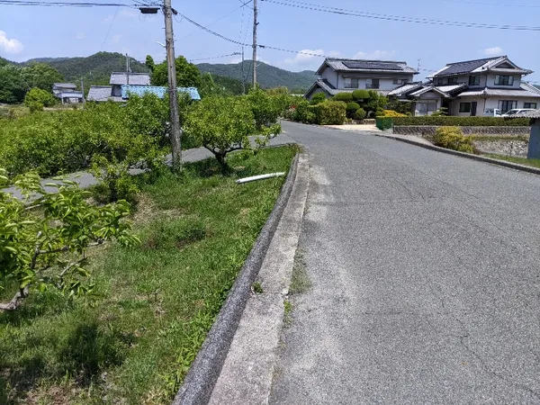 広島県福山市本郷町　売土地 1554㎡の画像4