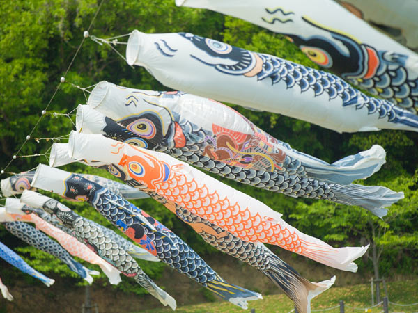 鯉のぼり | 12 | 冠婚葬祭しきたりとマナー | 進物の大進